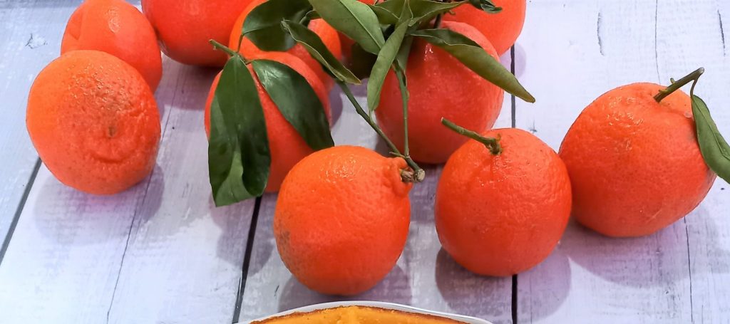 Dieet ring cake met clementine smoothie