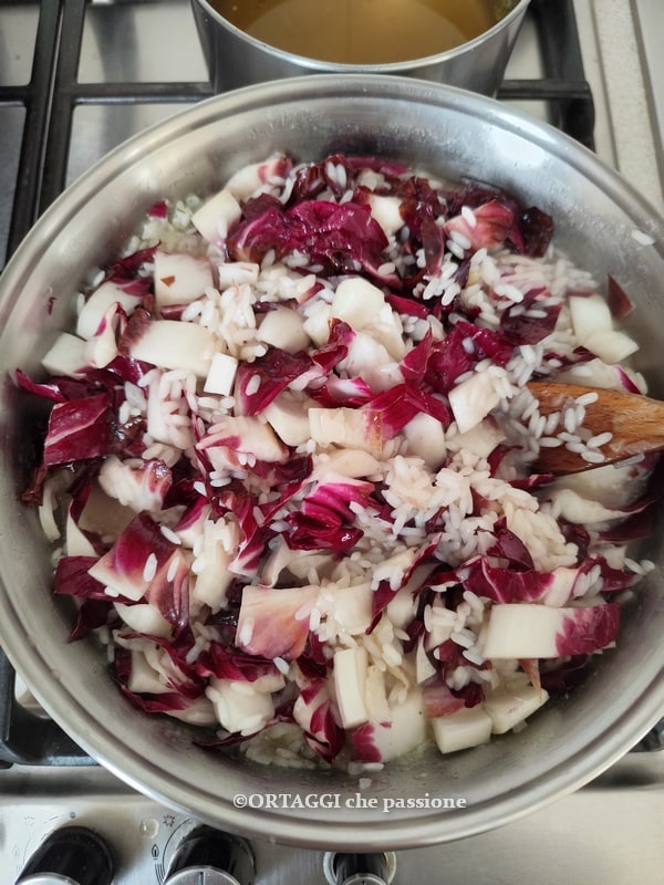 voeg de rijst toe en rooster het voor risotto met radicchio