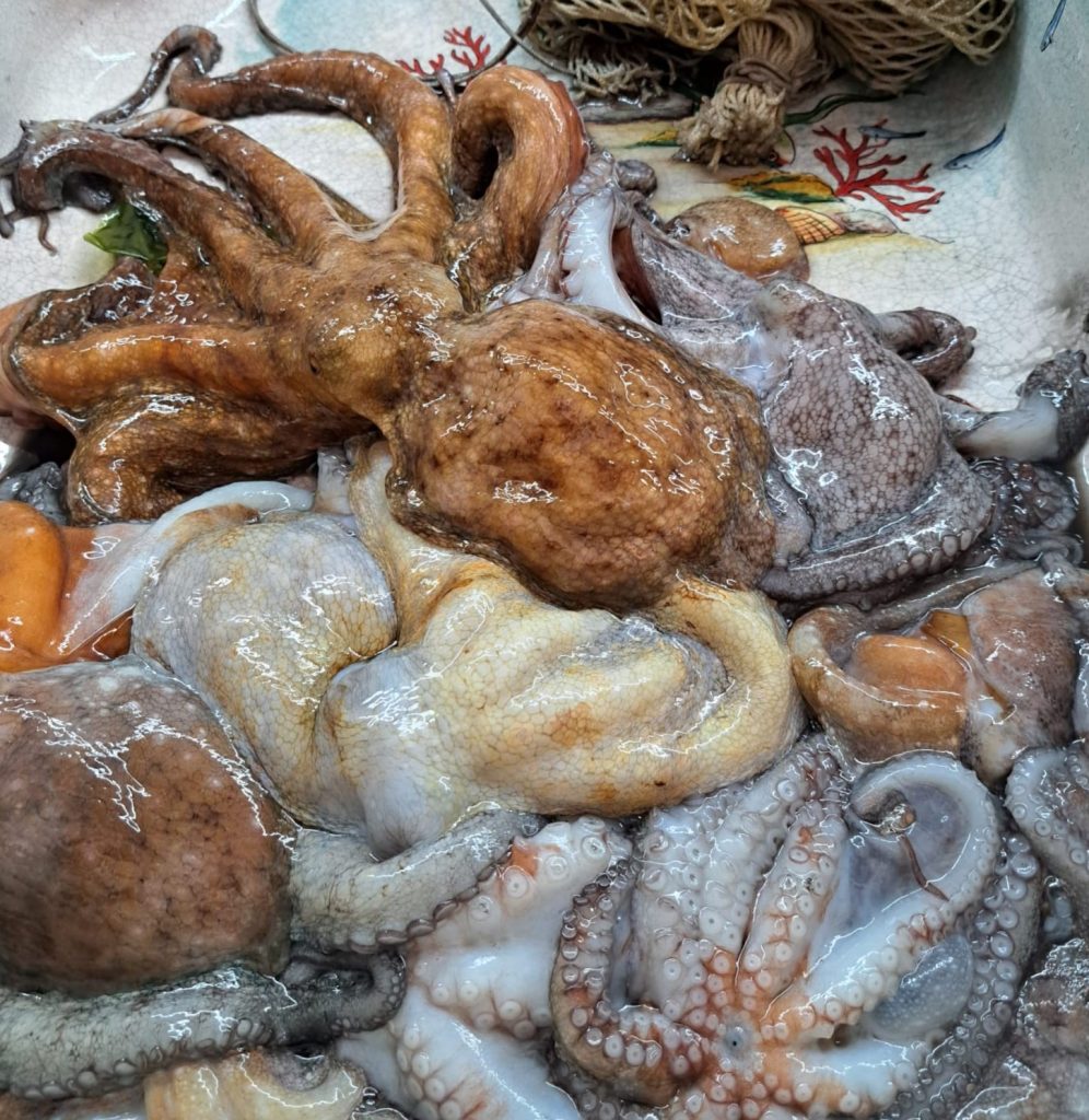 Hoe octopus voor salade te koken