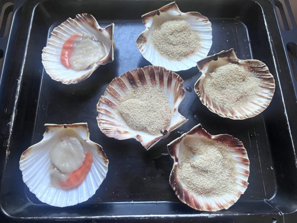 gegratineerde sint-jakobsschelpen oven