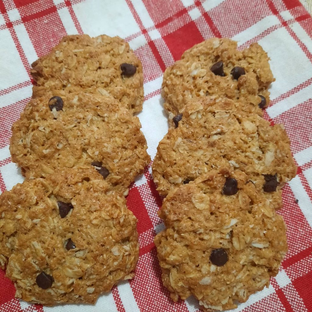 volkoren koekjes met haver