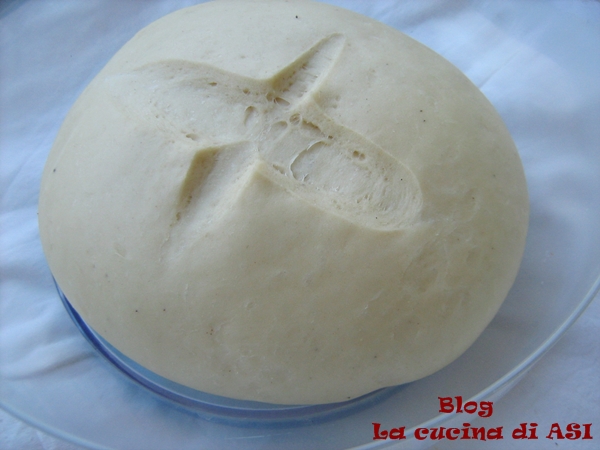 casatiello napolitaans origineel recept