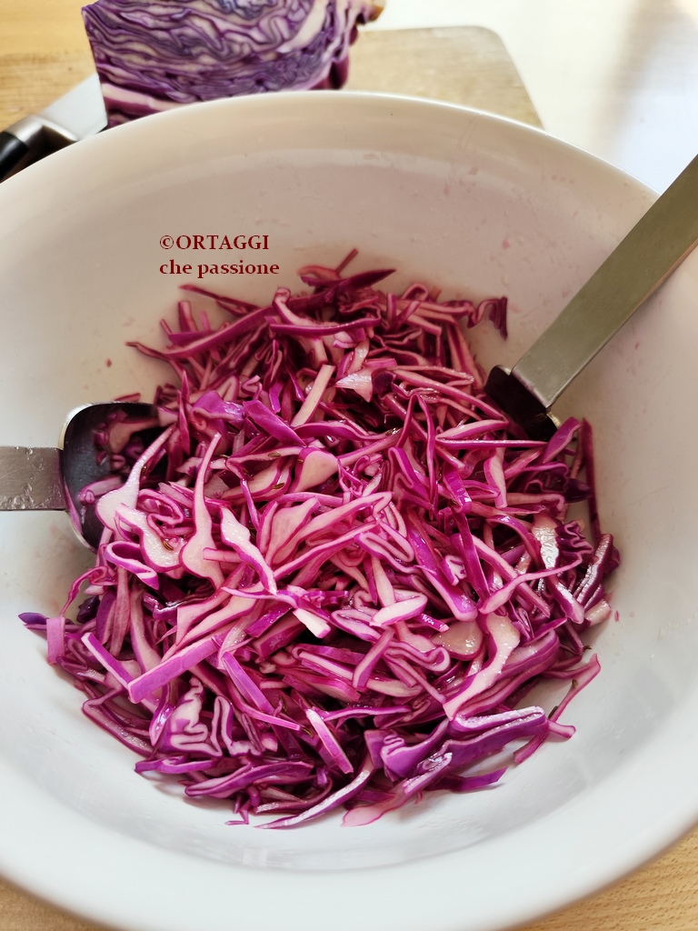 heerlijke rode kool salade