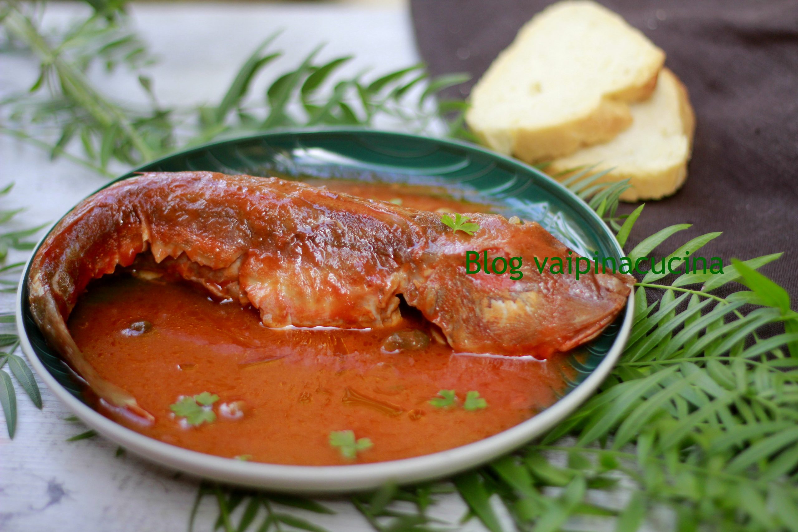 Knorhaanvis in ‘acqua pazza’