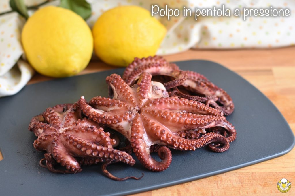 octopus in de snelkookpan heerlijk mals kooktijden met verse of bevroren octopus il chicco di mais