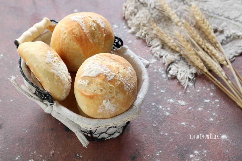 snel brood zonder kneden