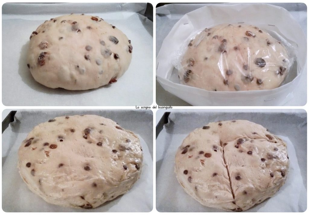 Lage Genovese Panettone