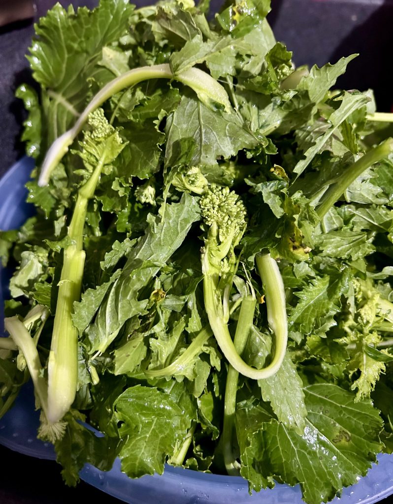 Schoongemaakte en gewassen broccoletti