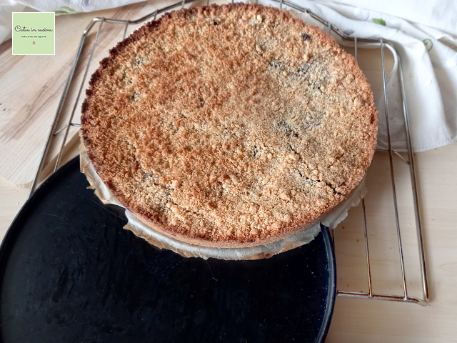 bodem van de bakvorm