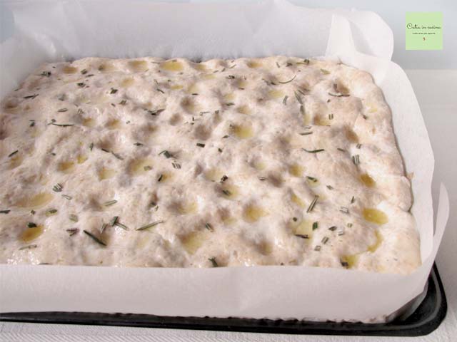 half-volkoren focaccia zonder kneden in bakvorm