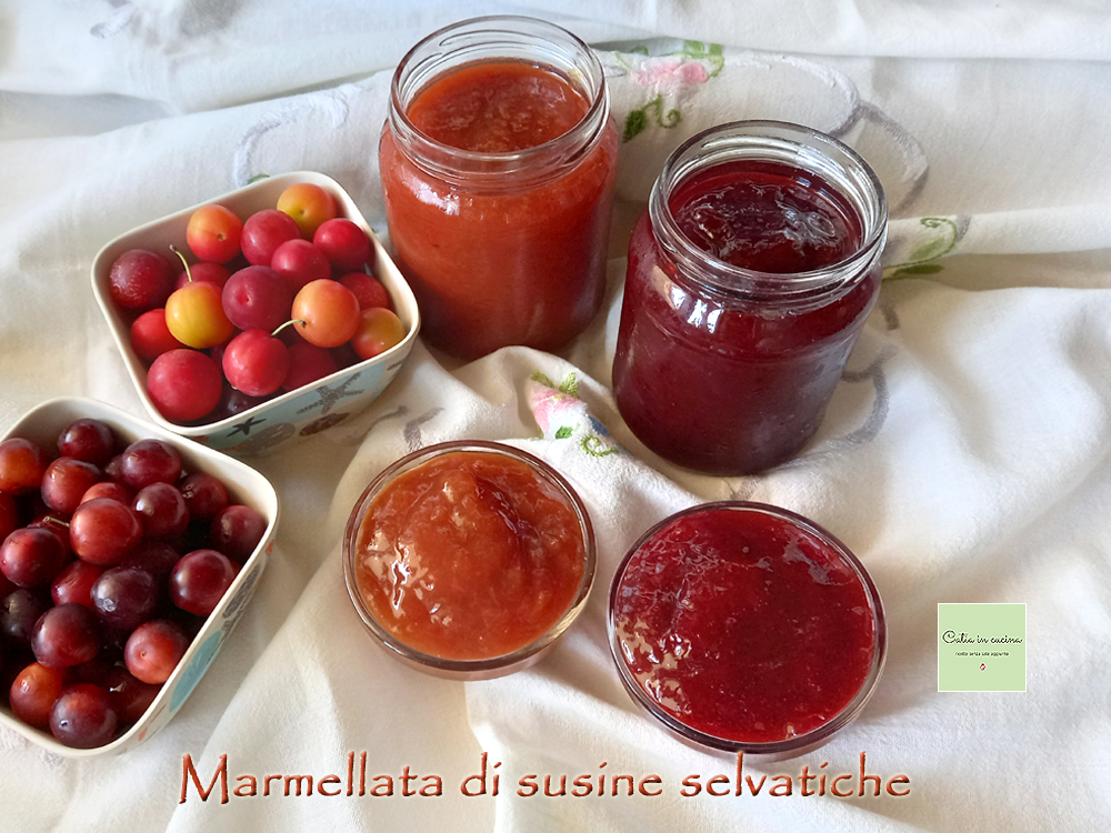 jam van wilde pruimen