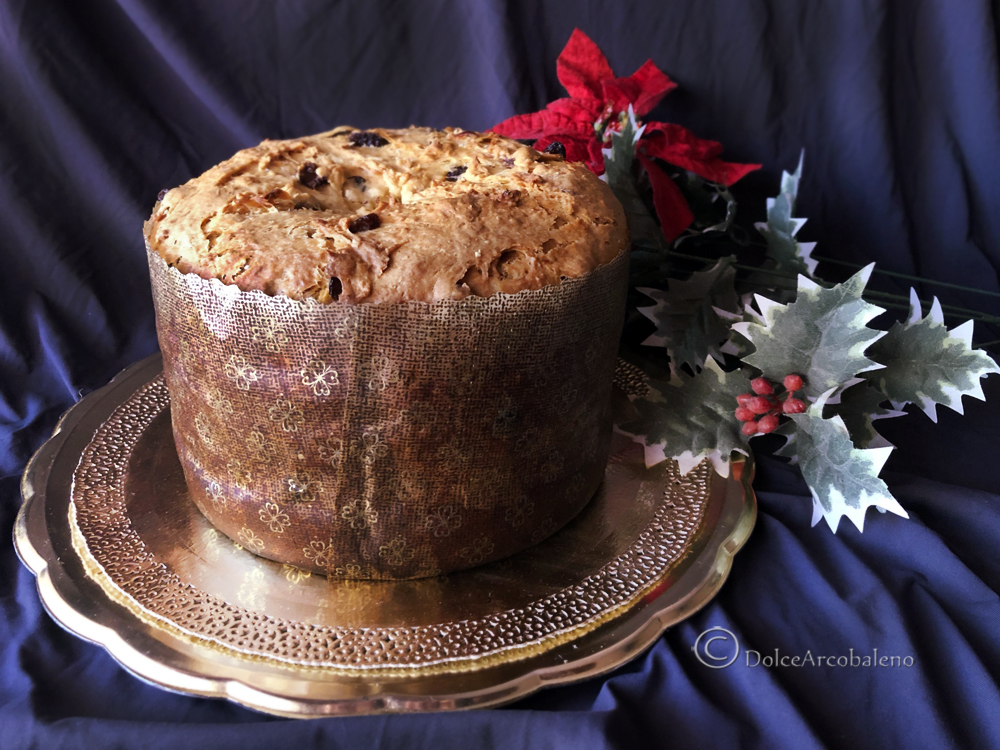 met de hand geknede panettone