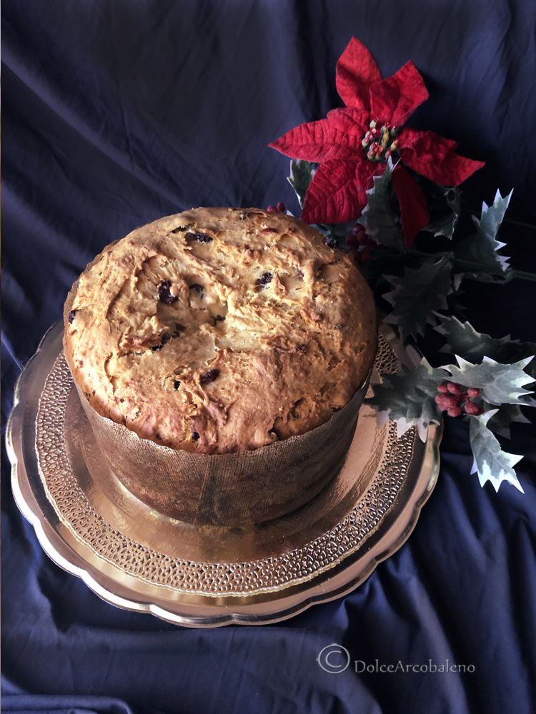 met de hand geknede panettone