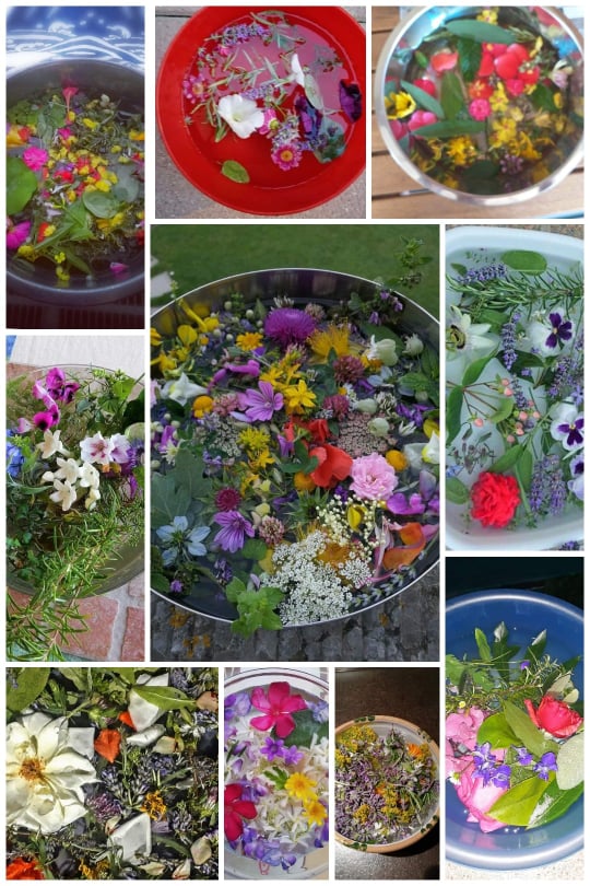 sint-janswater-timo-en-lenticchie