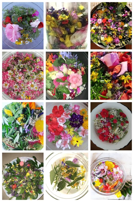 sint-janswater-volger-timo-en-lenticchie