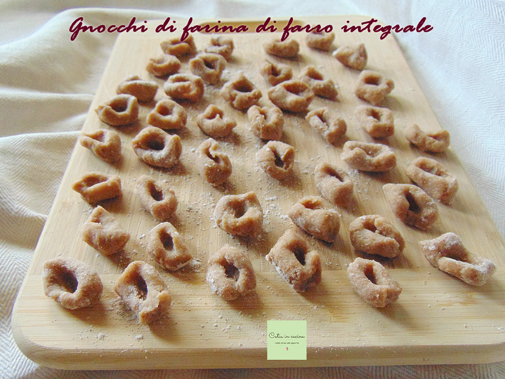 spelt volkoren gnocchi basisrecept