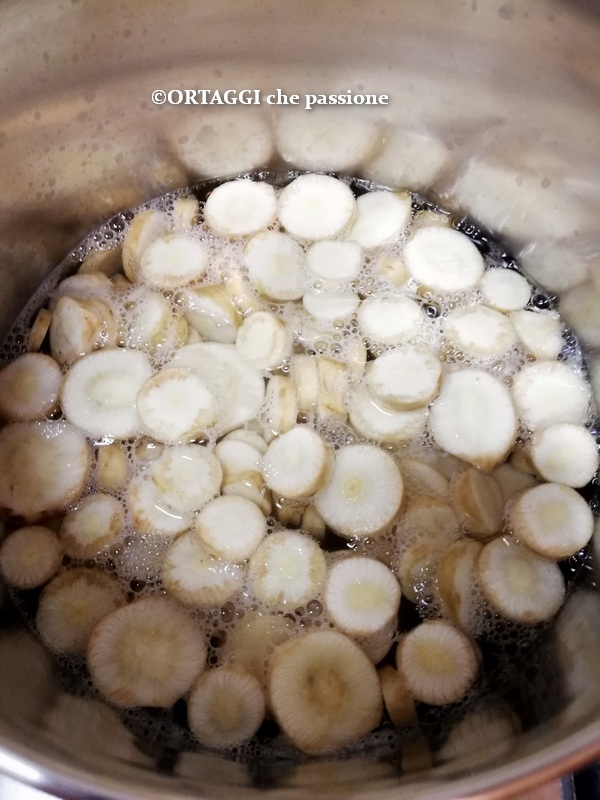 blancheren van schijfjes bittere wortels uit Soncino of Chiavari