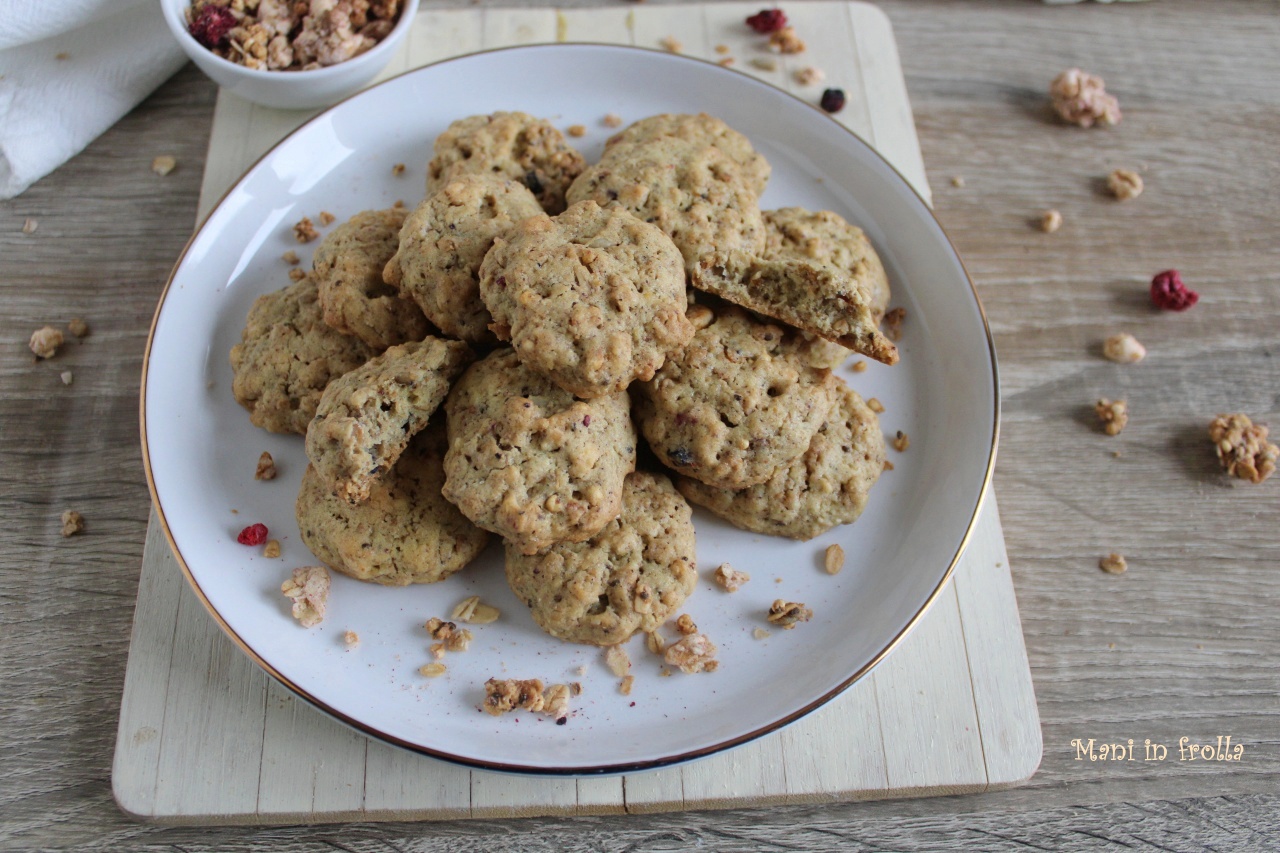 Koekjes met Granola en Bosbessen