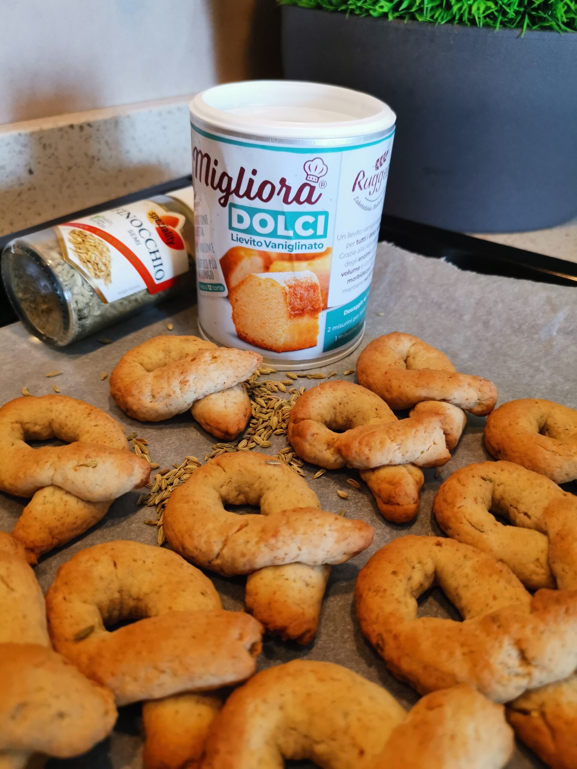 Venkel tarallini koekjes