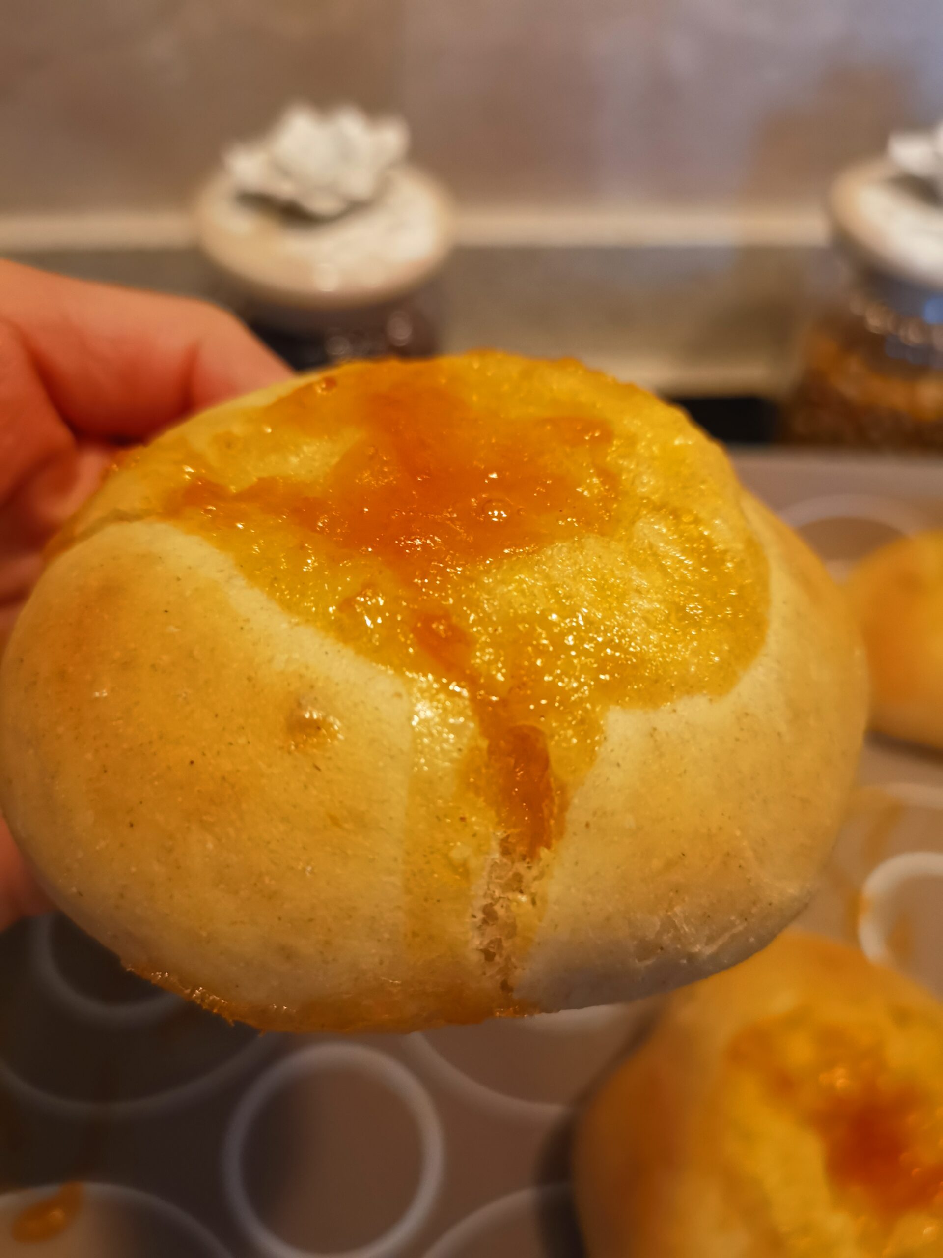 Brioche met abrikozen zonder lactose