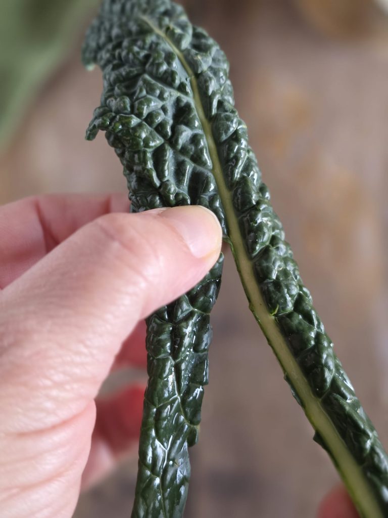 Chips van cavolo nero