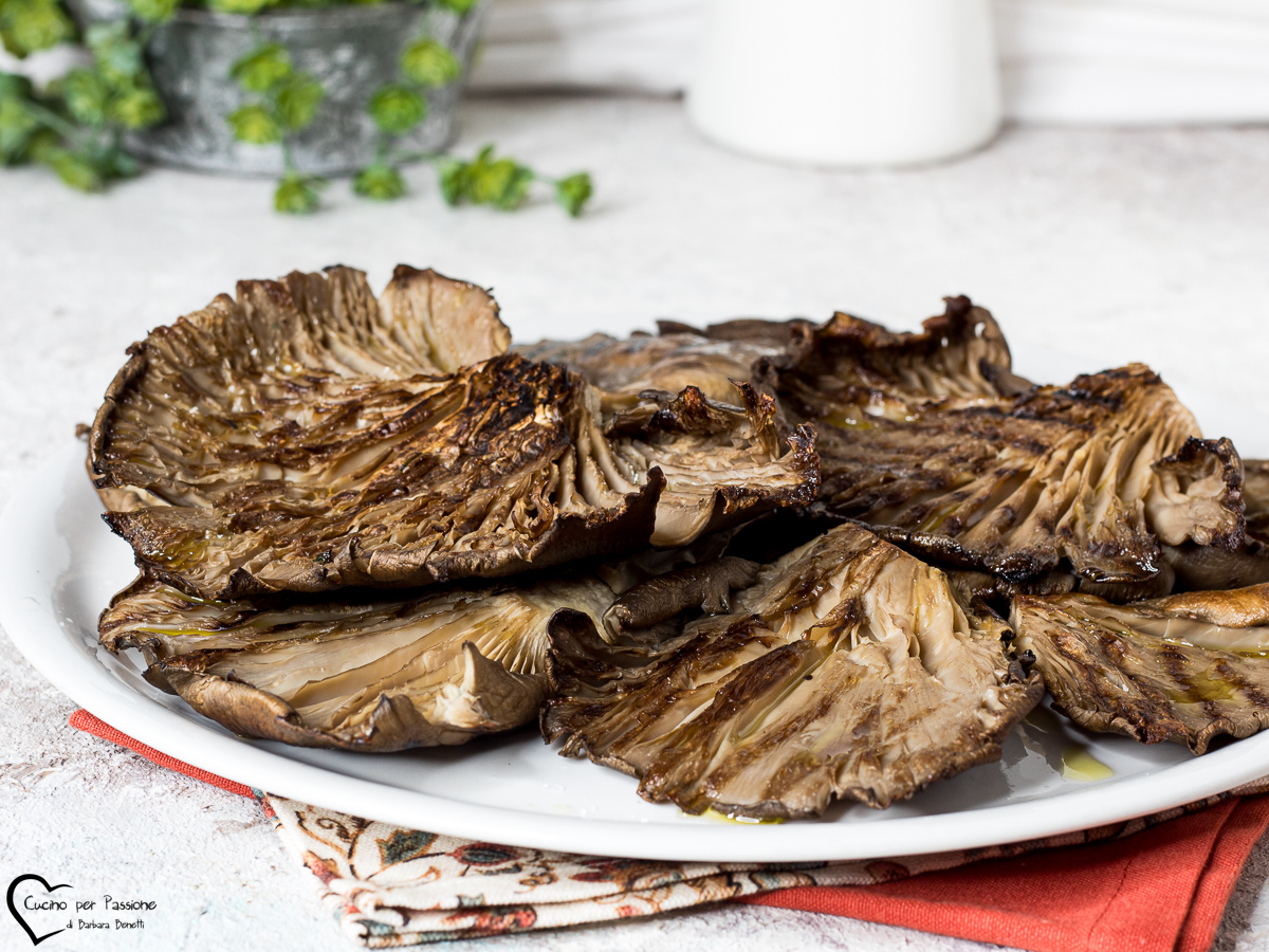 GROENE PLEUROTUS CHAMPIGNONS