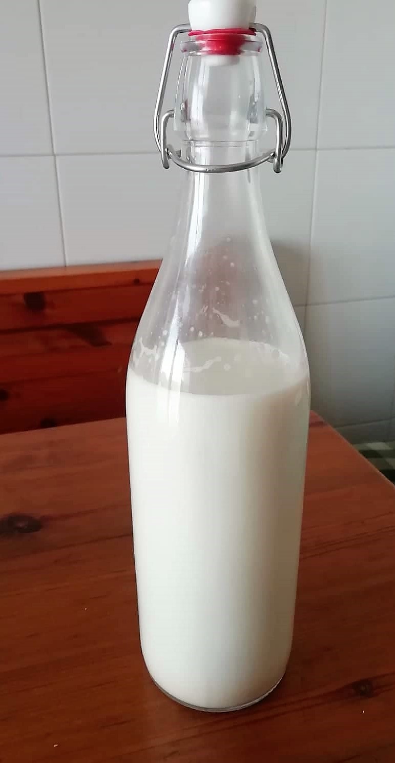 HUISGEMAAKTE SOJAMELK