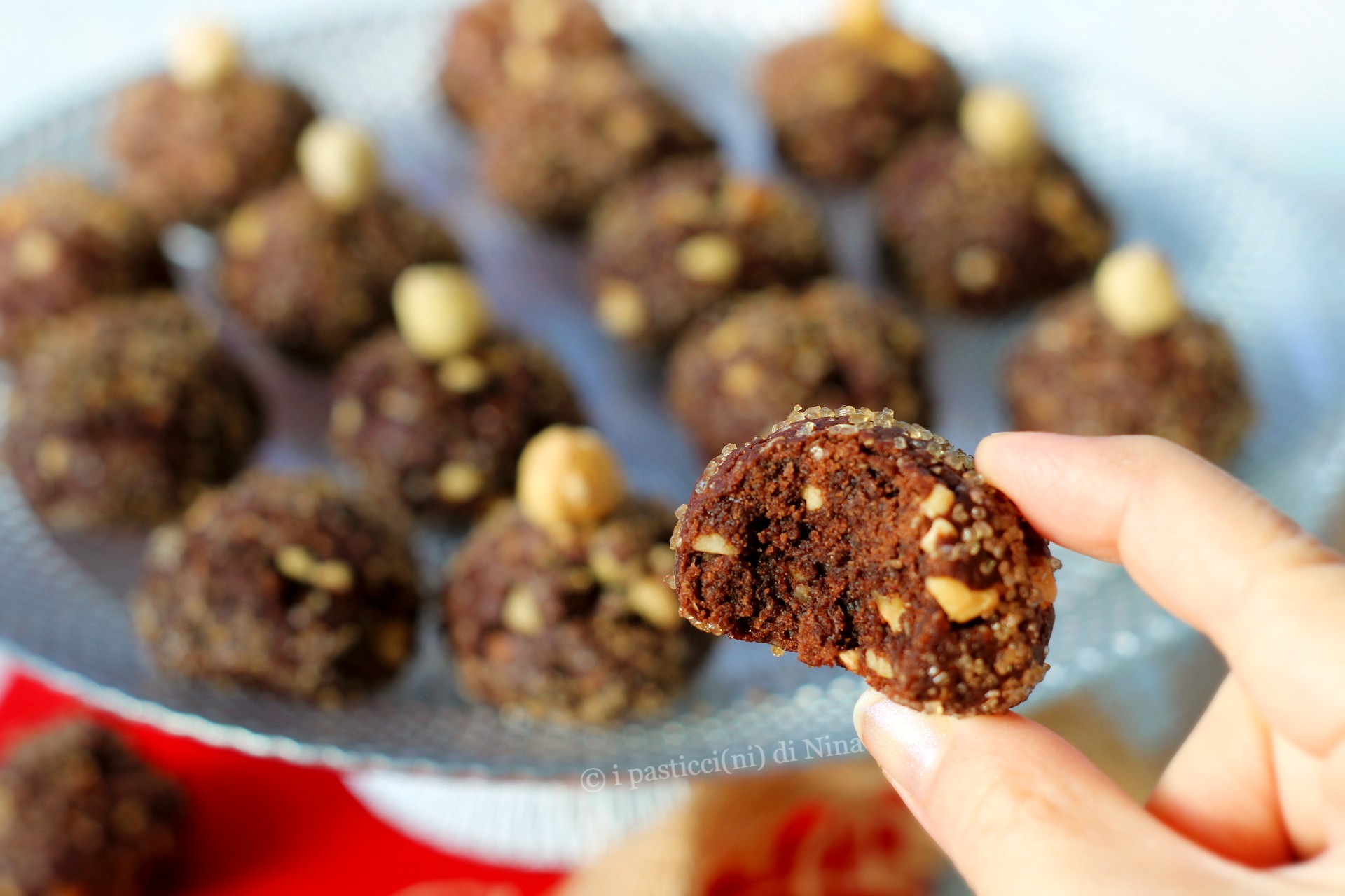 ZACHTE CACAO- EN HAZELNOOTKOEKJES