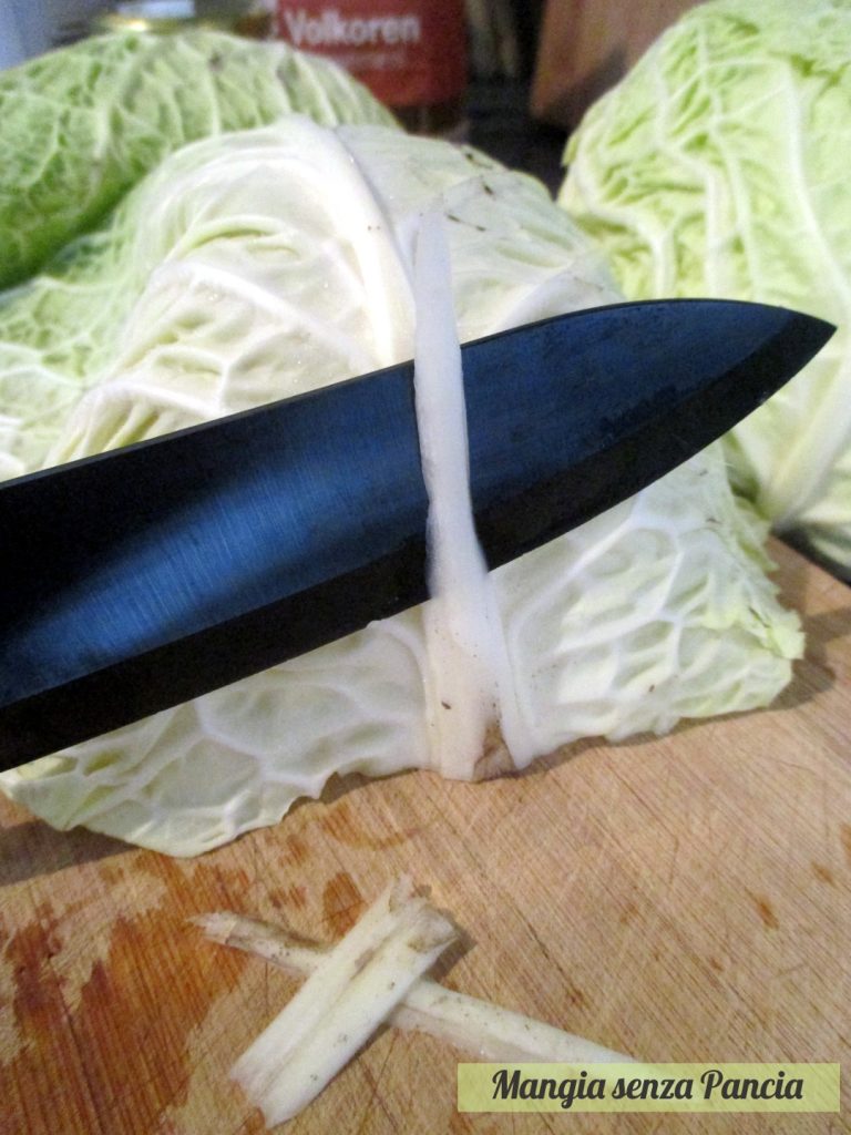 Lichte savooikoolrolletjes met vlees, Mangia senza Pancia