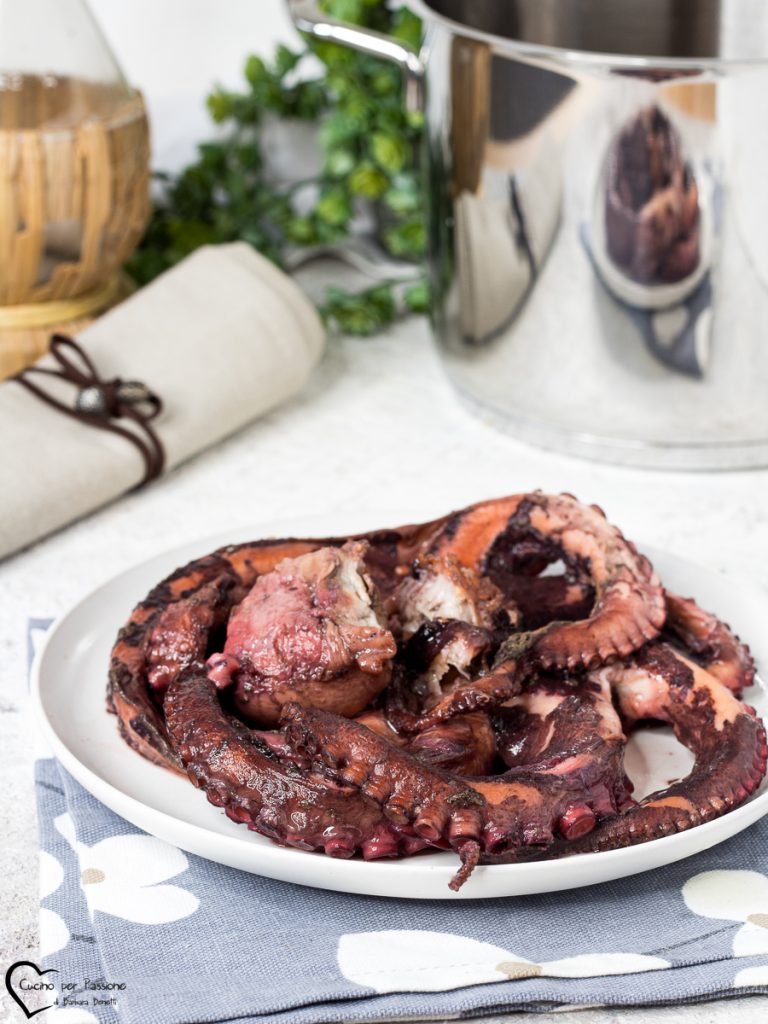 Octopus zonder water