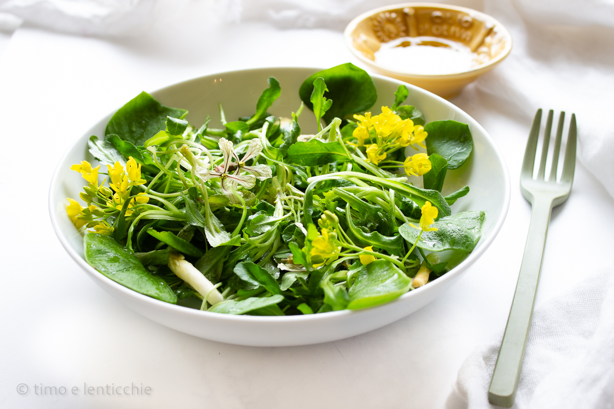 Salade van rapunzel en rucola