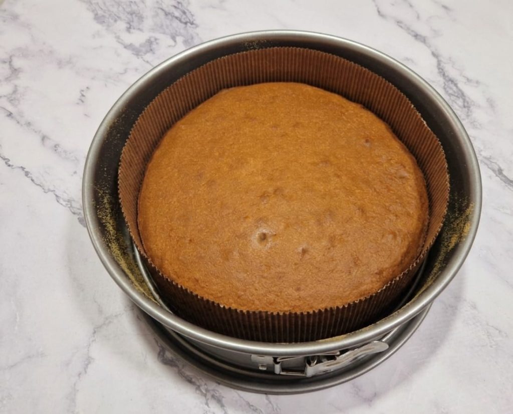 biscuit met chocoladedruppels